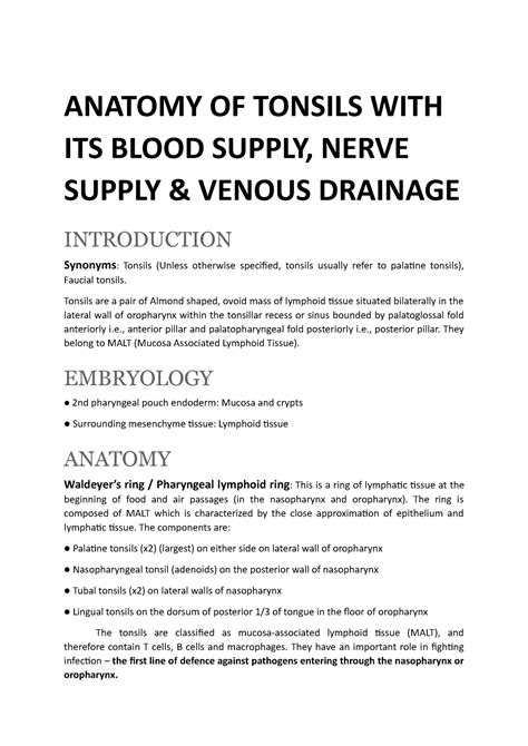 Anatomy OF Tonsils - ANATOMY OF TONSILS WITH ITS BLOOD SUPPLY, NERVE SUPPLY & VENOUS DRAINAGE ...