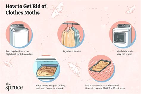 Image result for Cloth Moth Control