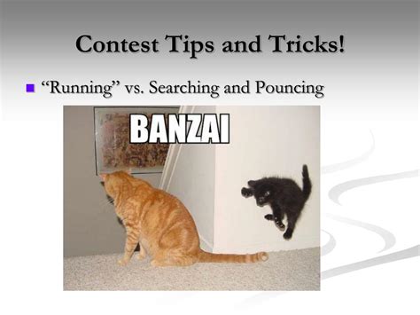 Image result for Digital Contesting Calendar