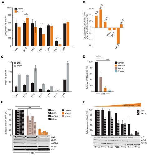 Multiple Myeloma Cells with Increased Proteasomal and ER Stress Are ...