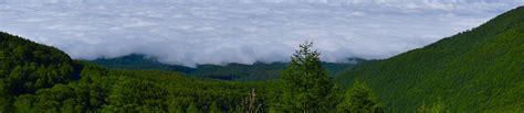 Image result for Archive