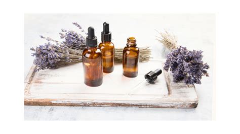The Magic of Pure Lavender Essential Oil - Meraki Essential Oils ...
