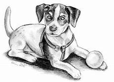 malvorlage hund russel kleurplaat russel dibujo para colorear malvorlage hund russel kleurplaat russel dibujo para colorear