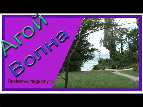 Турбаза Волна цены обзор - YouTube