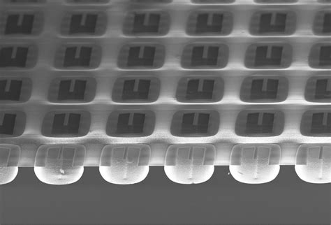 Indian Institute of Science