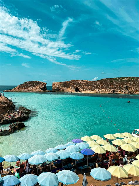 Swimming in Beach 的图像结果