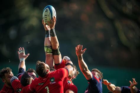 Rugby Game 的图像结果