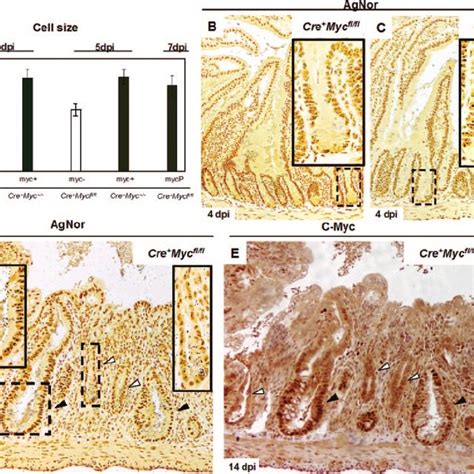 Image result for Crypt Frequency Analysis