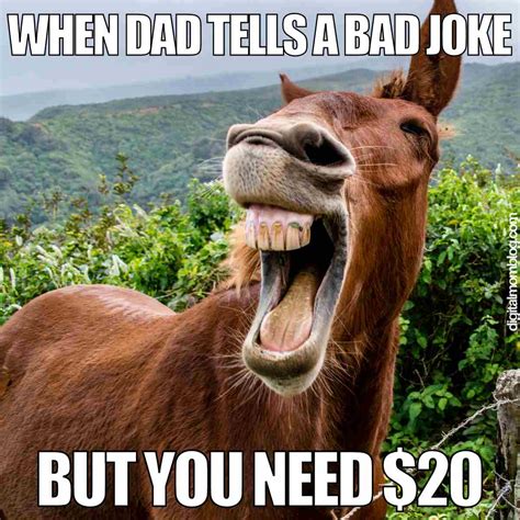 50 Funny Dad Memes, Corny Jokes And Fatherly Humor