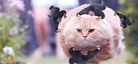 Tom Cruise Sees Tom Cruise Clinging Memes For The First Time