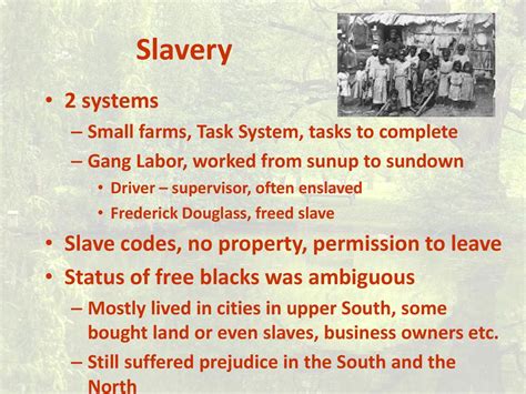 Task System 的图像结果