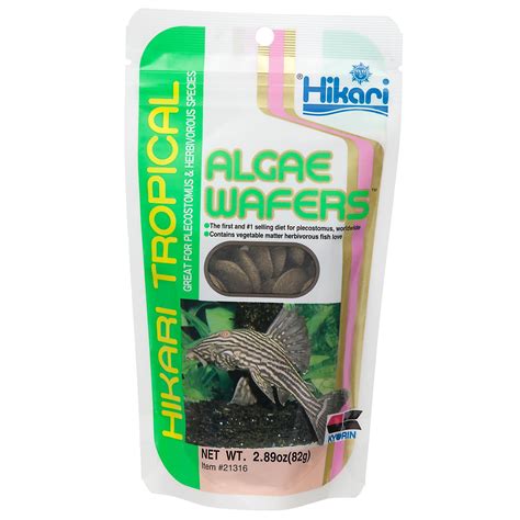 Can Tropical Fish Eat Algae Wafers at Sebastian Belbin blog