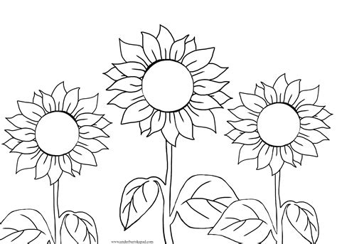 Sunflower Coloring Pages Easy at Glady Fortenberry blog