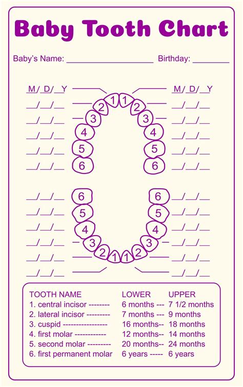 Free Printable Dental Tooth Chart | Tooth chart, Baby tooth chart, Baby ...