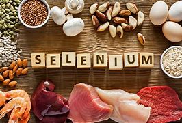 Image result for selenium