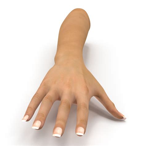 Image result for Female Hand 3D Modeling