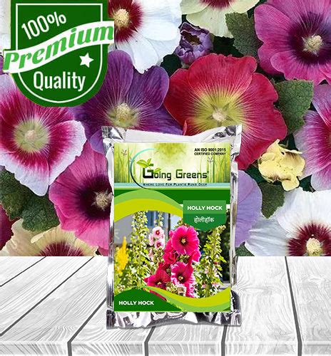 Holly Hock Flower Seeds – Going Greens