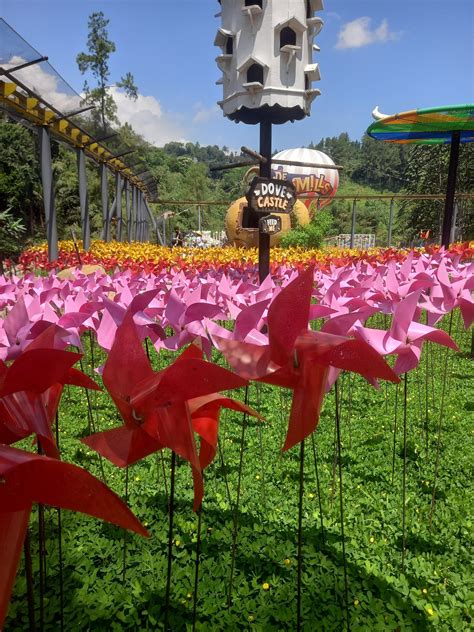 CIMORY DAIRYLAND PUNCAK (2026) All You Need to Know BEFORE You Go (with ...