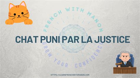Chat puni par la justice - French with Manon