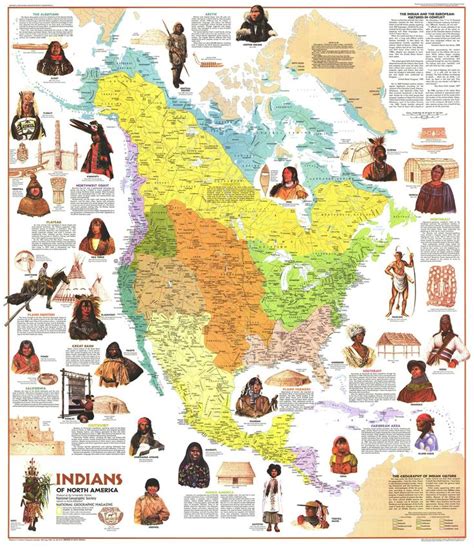 North American Animals: A Guide to Indigenous Wildlife