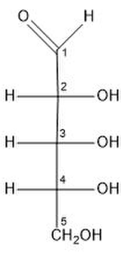 Image result for Fischer Projection Explained