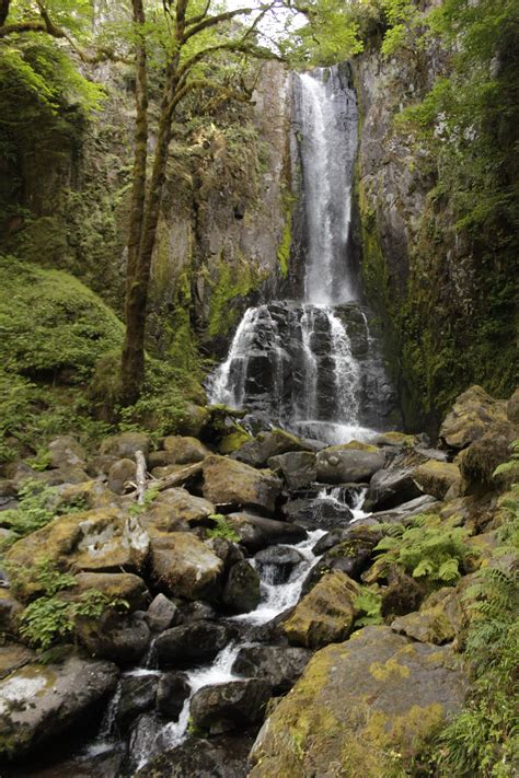 Discover the Hidden Beauty of Siuslaw National Forest: Kentucky Falls