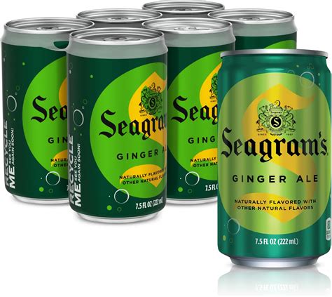 Amazon.com : Seagram's Ginger Ale, 7.5 fl oz, 6 Count : Grocery ...