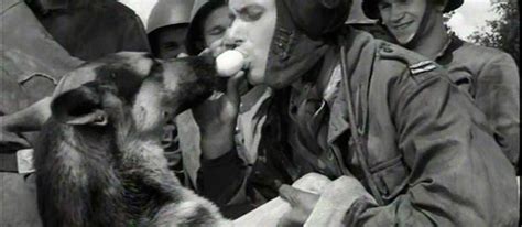 Image result for Seriale Wojenne