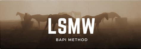 LSMW Vs BAPI 的图像结果