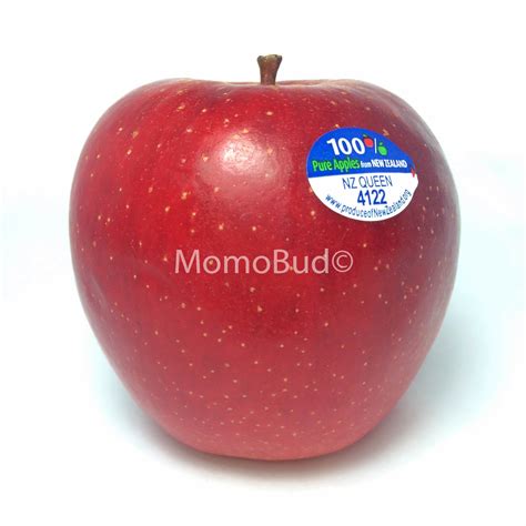 Pacific Rose Apples Nz at Ellen Curry blog