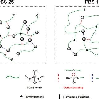 MathWorks PBS 的图像结果