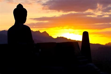 Image result for Java Heat Trailer