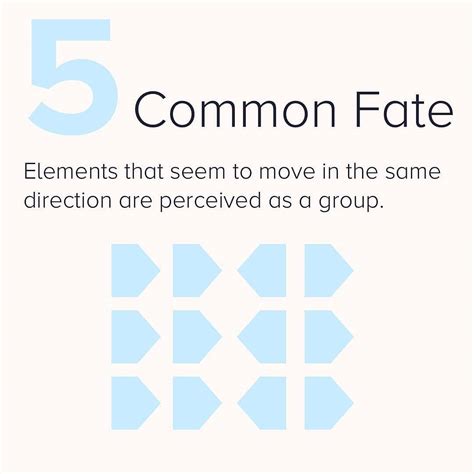 Principle 的图像结果