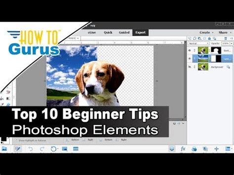 Image result for Adobe Elements Tutorial