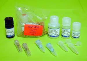 Life Technologies India -- Life Tech India