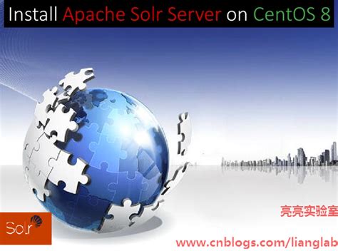 CentOS 8.2部署最新版Apache Solr 8.7.0搜索服务 - 亮亮实验室 - 博客园