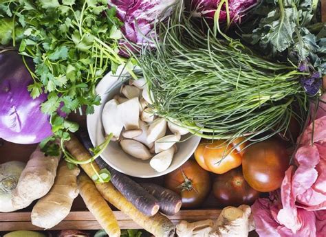 Rewild Your Microbiome: A Journey to Better Gut Health, Trinity Hill Rd ...