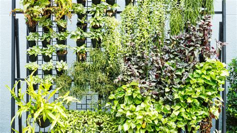 Space-Saving Planters That Work Well On Small Delaware Porches