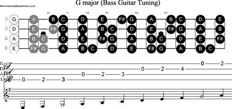 Bass Guitar G String Gauge at Jaime Hope blog