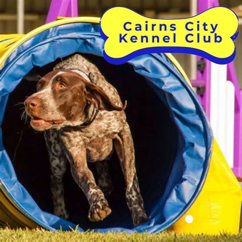 Cairns City Kennel Club Agility Trial , 11 Quigley St, Parramatta Park ...