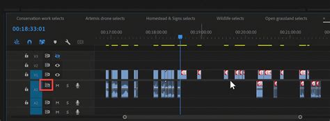 Step-by-Step Instructions for the Ripple Edit Tool in Premiere Pro
