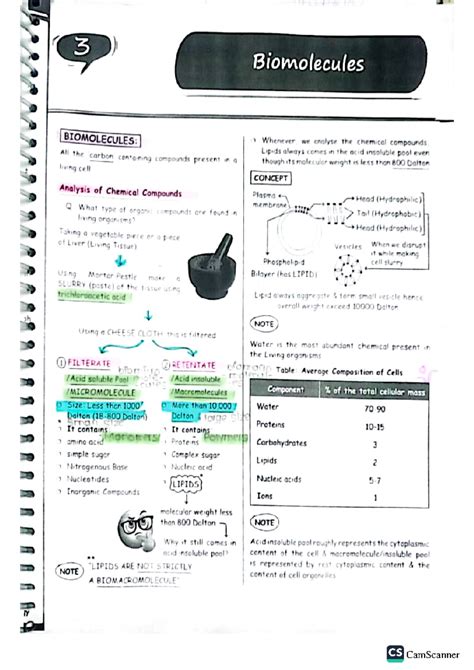 Cam Scanner 08-23-2024 19 - 3 Biomolecules BIOMOLECULES: Whenever we ...