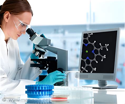 Image result for Polymorphic Catalyst Minecraft