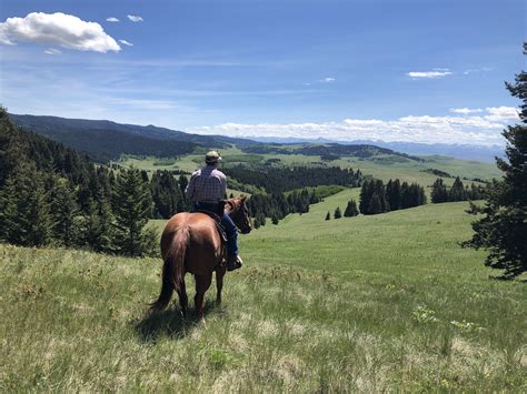 Your Conservation Legacy — Regional Land Trusts of Alberta