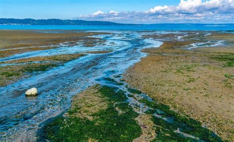 Ventura, CA - Local Tide Times, Tide Chart | US Harbors