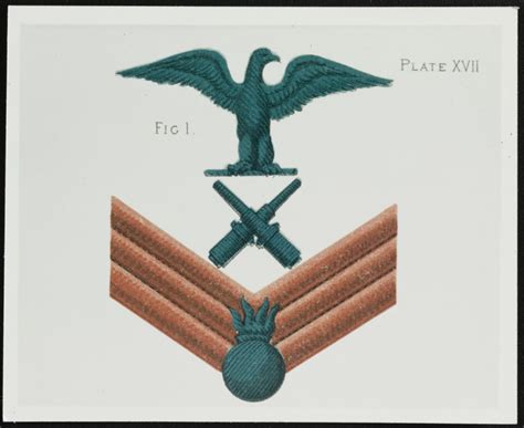 NH 123335 Chevron of Petty Officer Second Class Seaman Gunner Gunner's ...