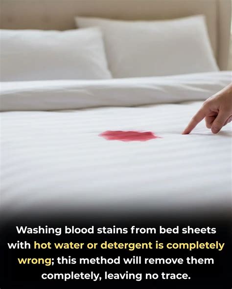 Washing blood stains from bed sheets with hot water or detergent is ...
