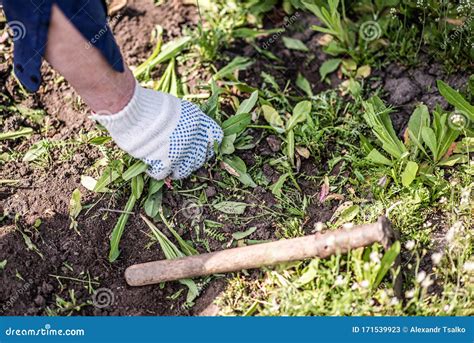 Image result for Uprooting Using Hands