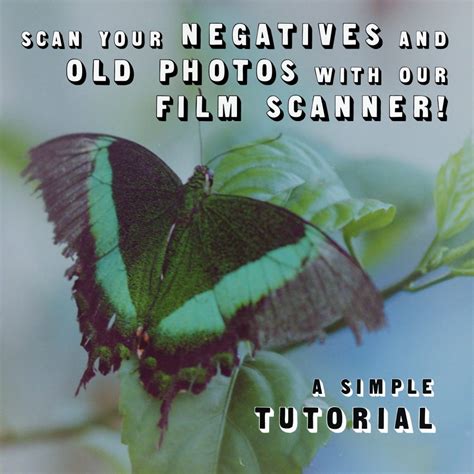 Image result for Film Scanner Tutorial