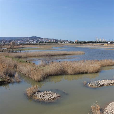 ŠKOCJANSKI ZATOK (2025) All You Need to Know BEFORE You Go (with Photos ...